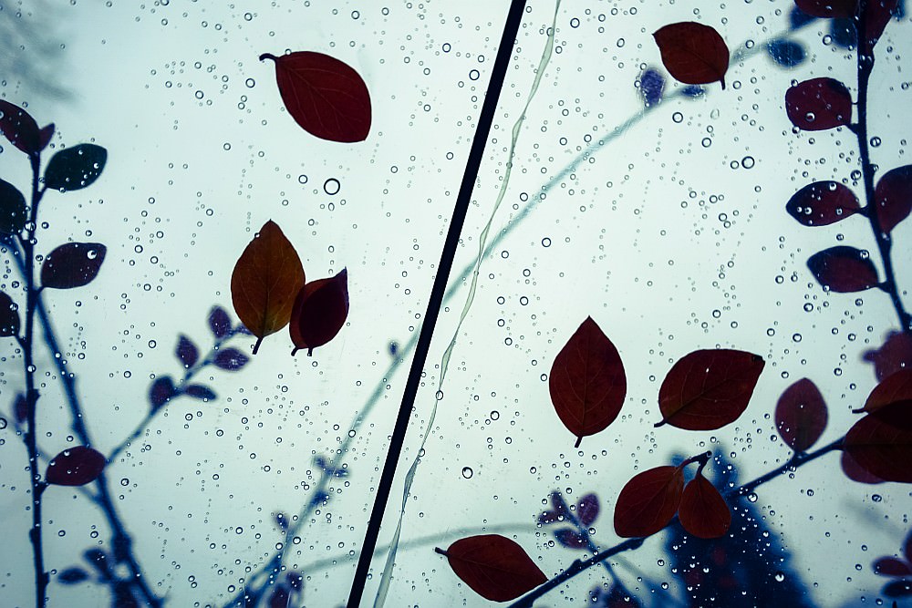 raindrops