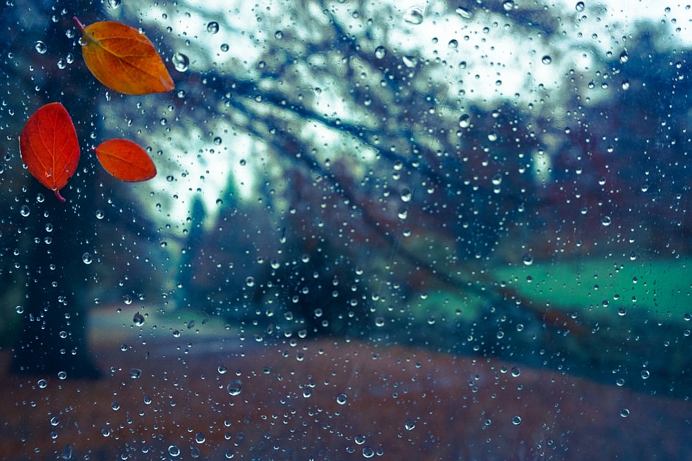 three red leaves