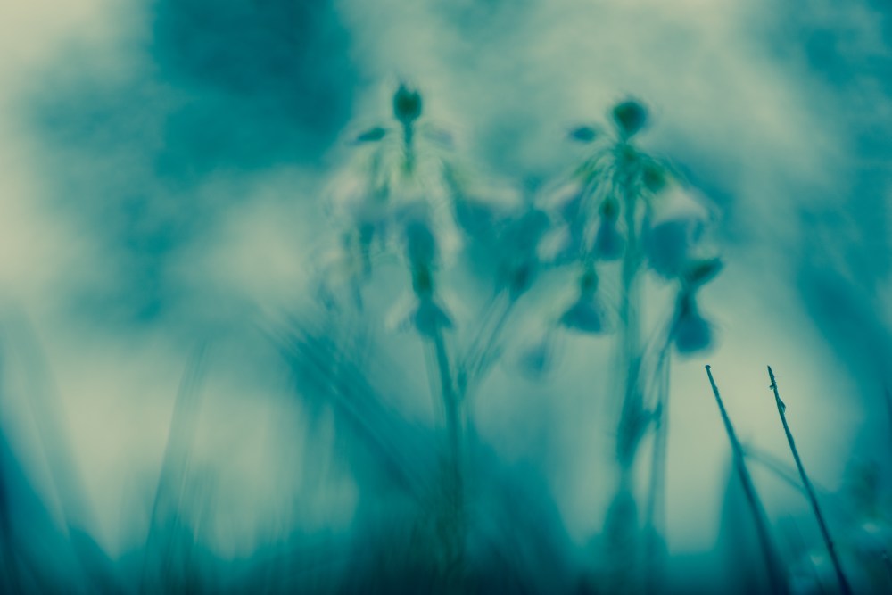 blurred