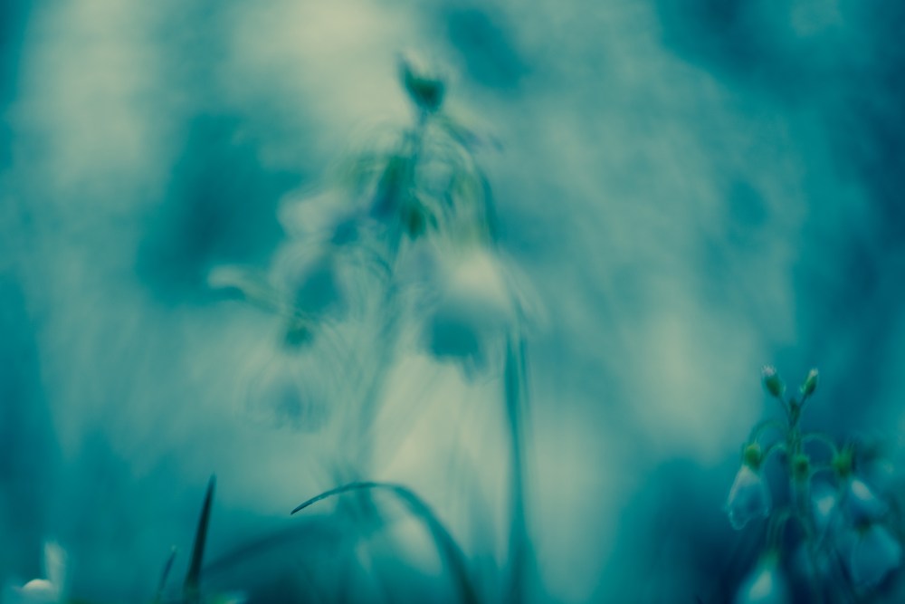 out of focus