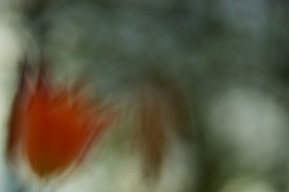 completely blurred