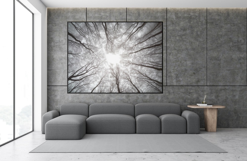 forest picture wall