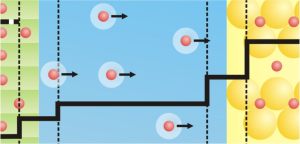 scientific schematics