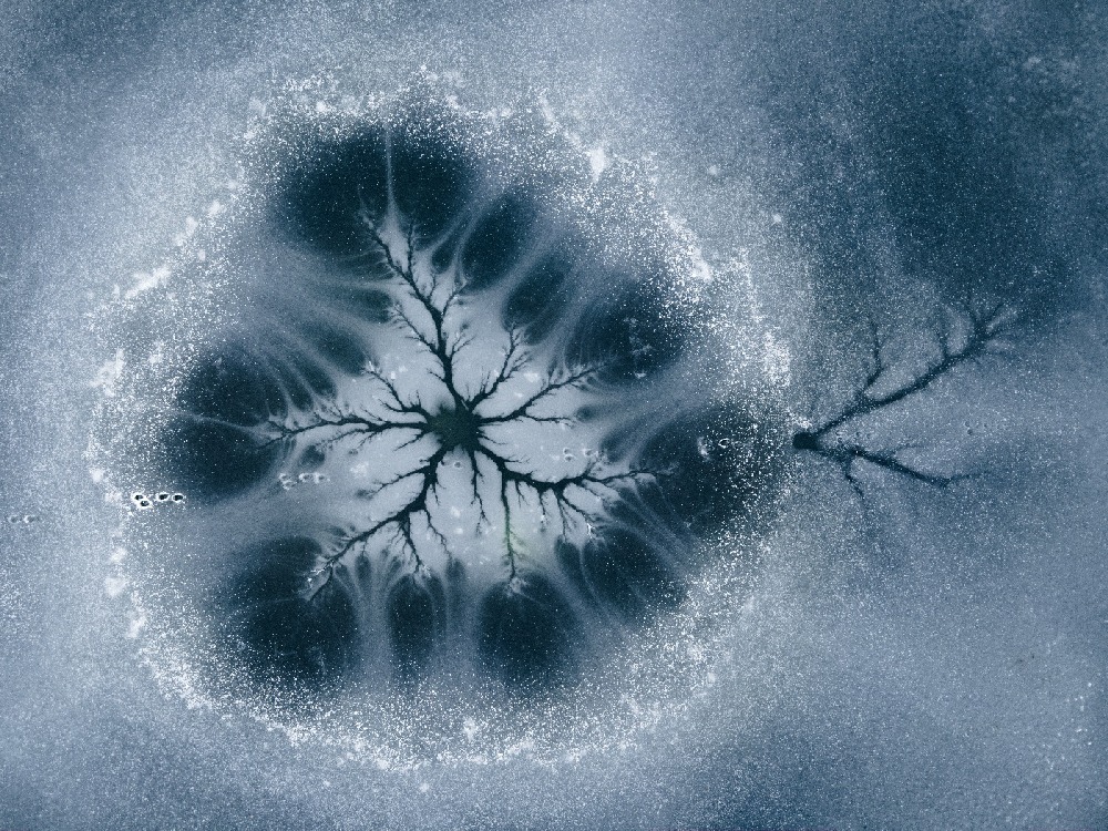 arctic winter 