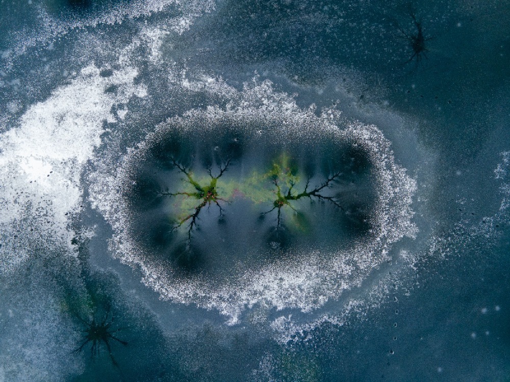 arctic winter