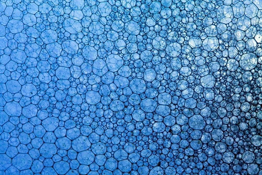 bubbles