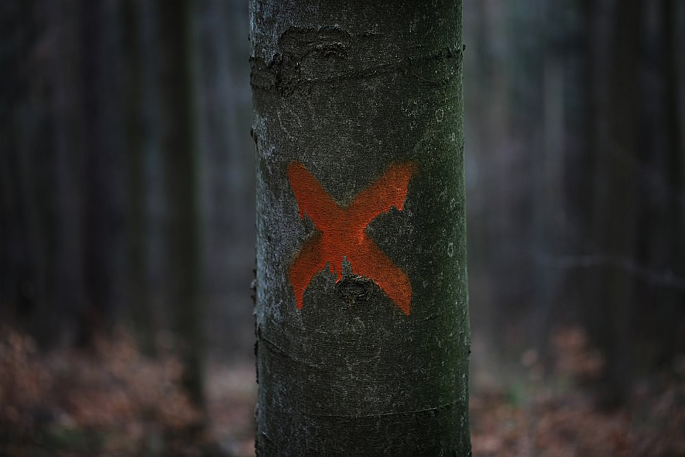 x