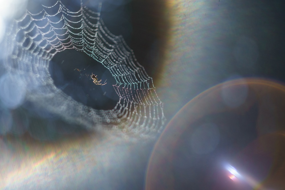 spider lens flare