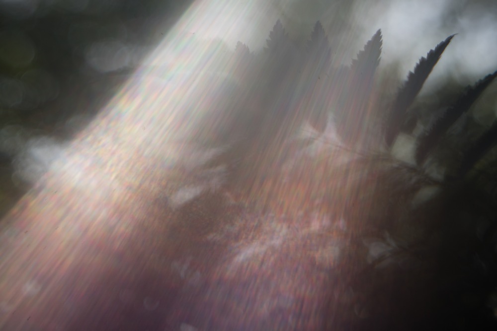 huge lens flare
