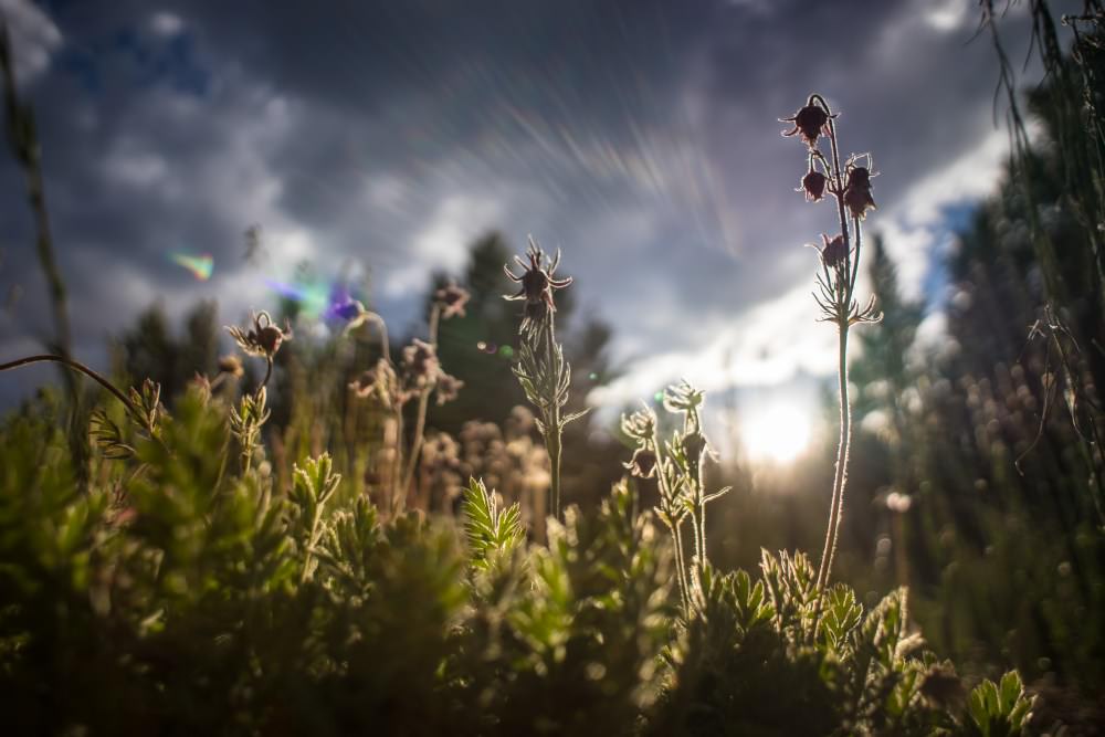 lensflare effect