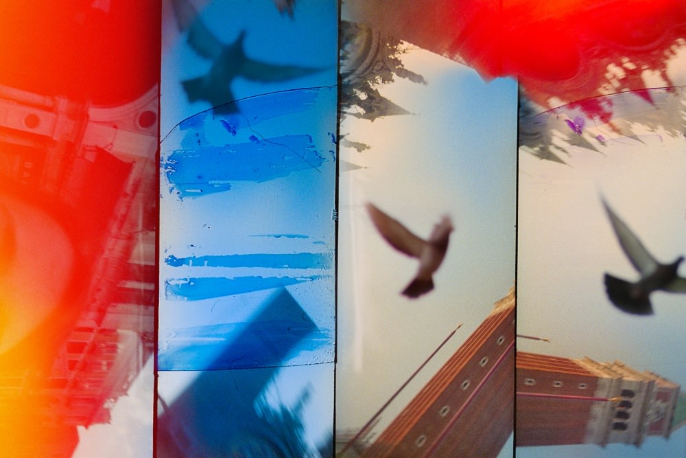 venice doves