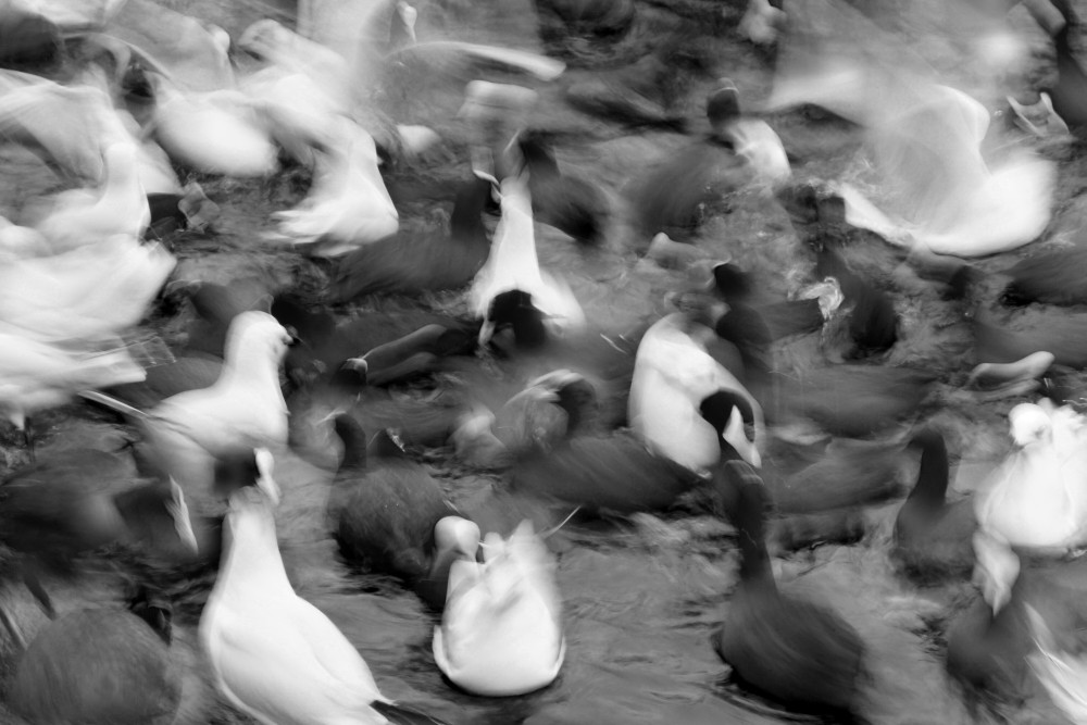 throng