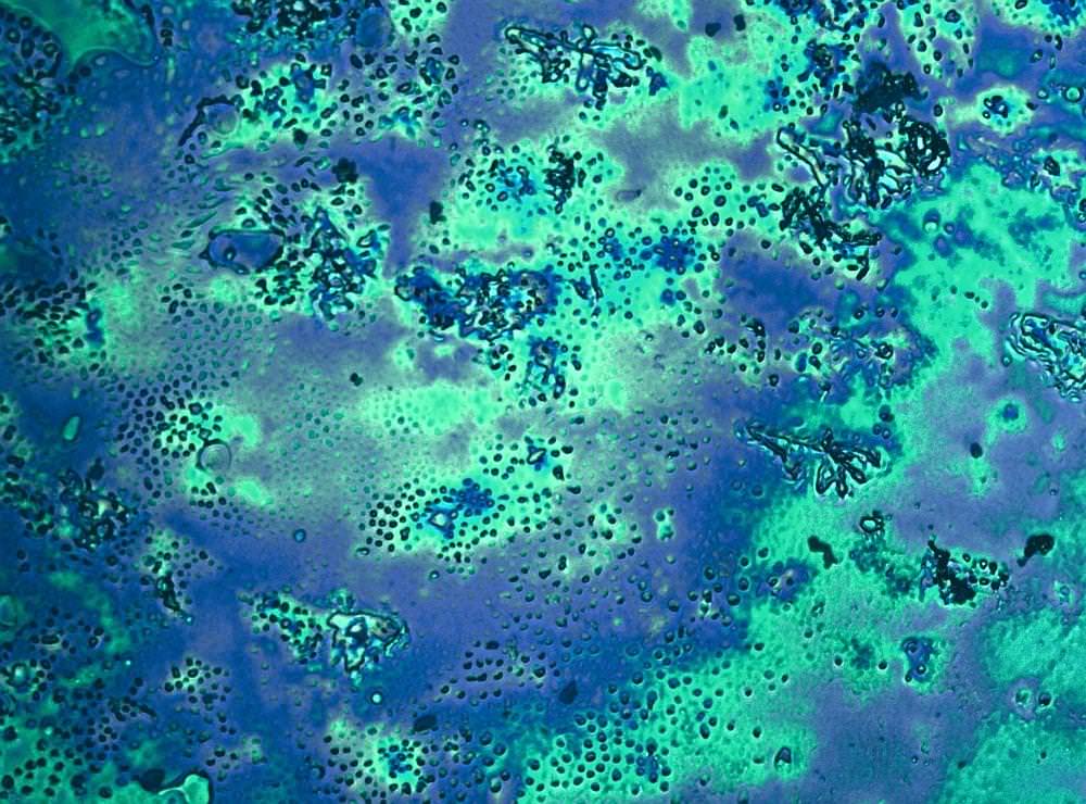particles