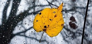 autumn photography