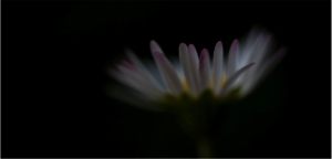 underexposed photography
