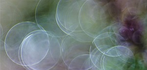 soap bubble bokeh photography