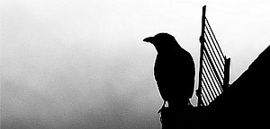 franz kafka photography