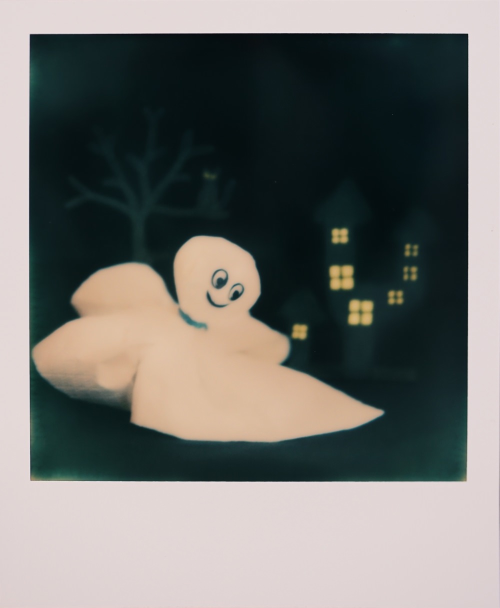 polaroid wedding