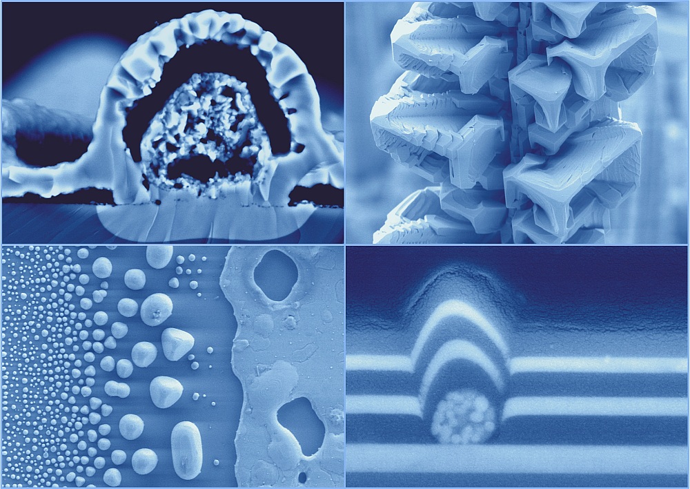 postcard microscopy images