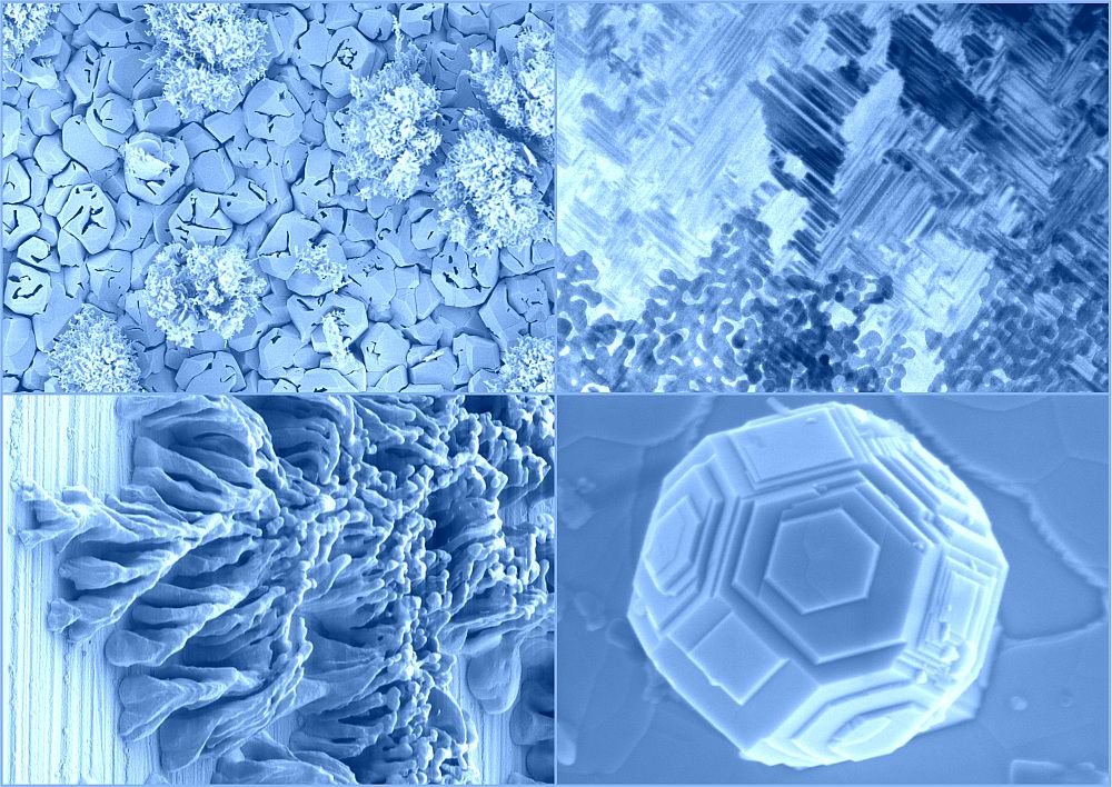 postcard microscopy images