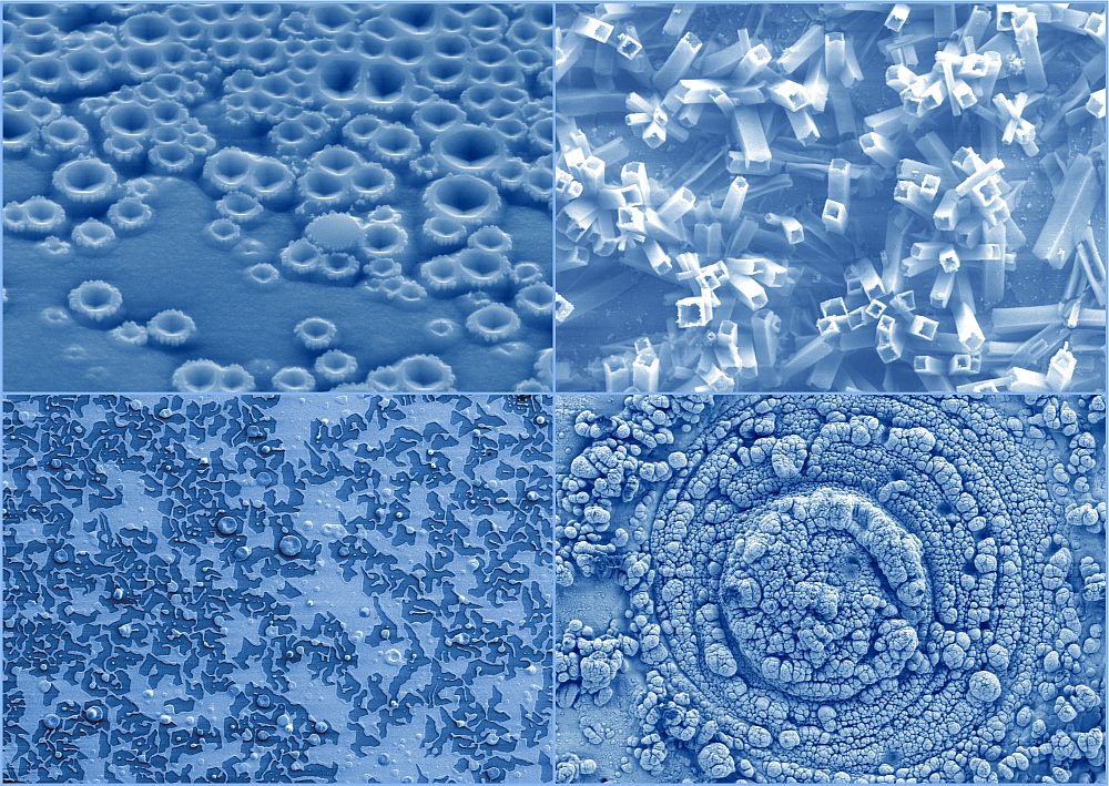 postcard microscopy images