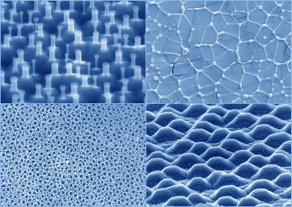 postcard microscopy images