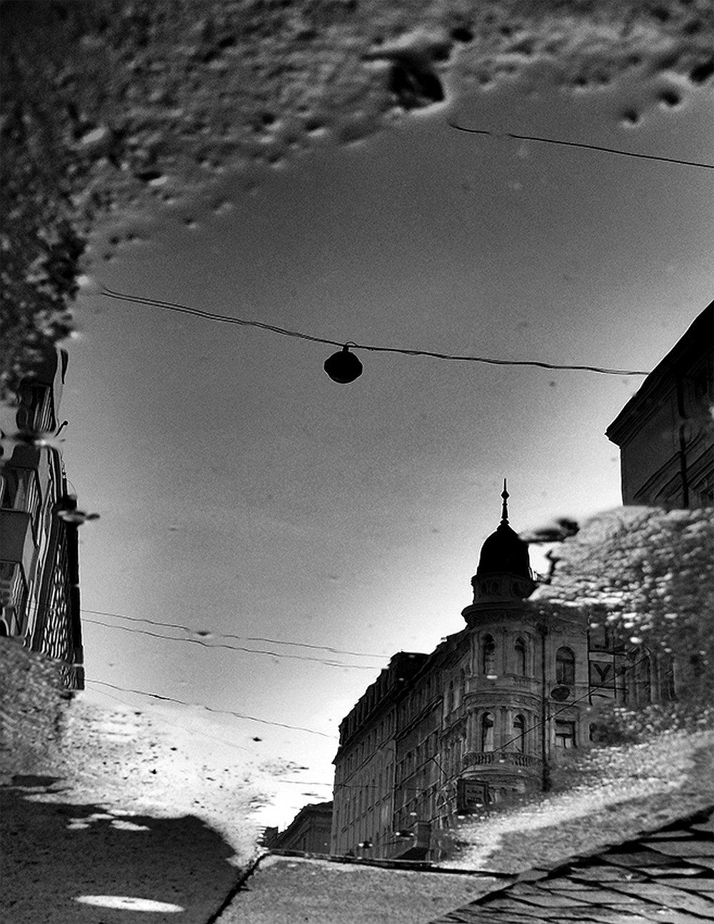 puddle reflection
