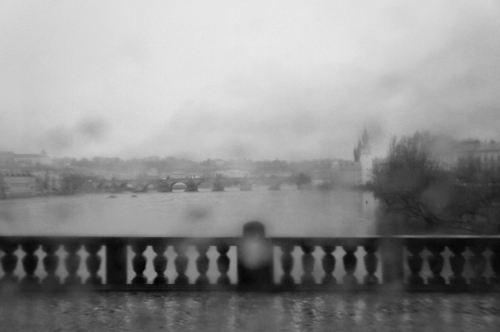 window view