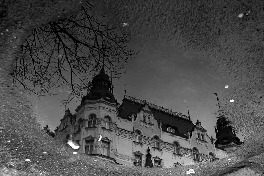 puddle reflection