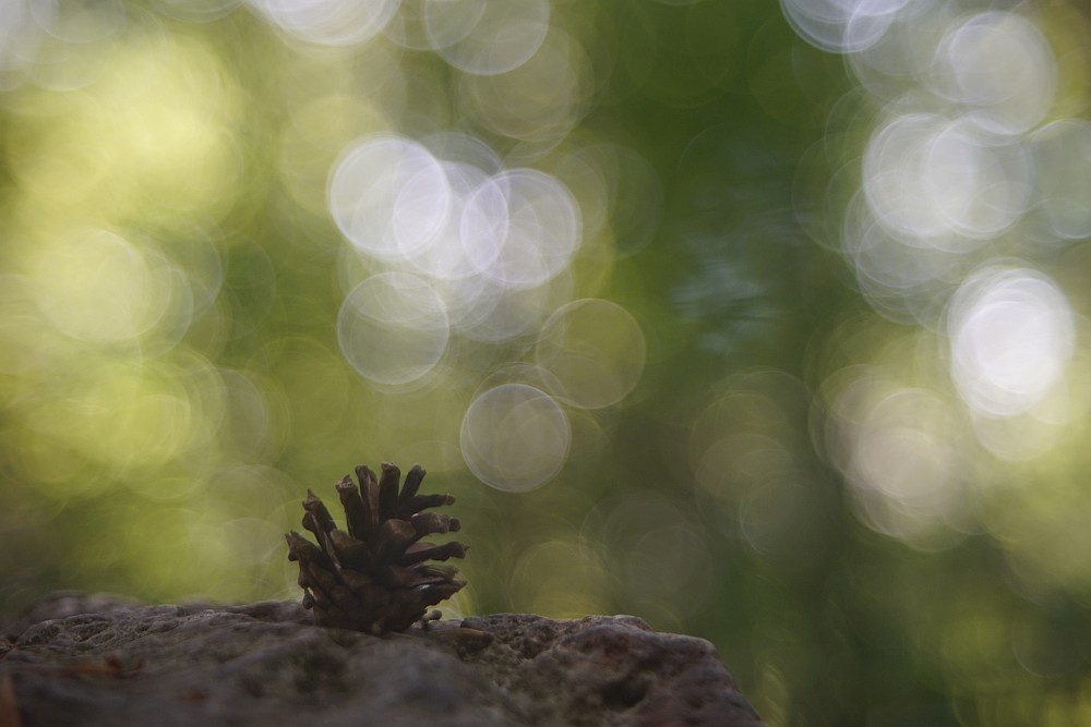 soap bubble bokeh cone
