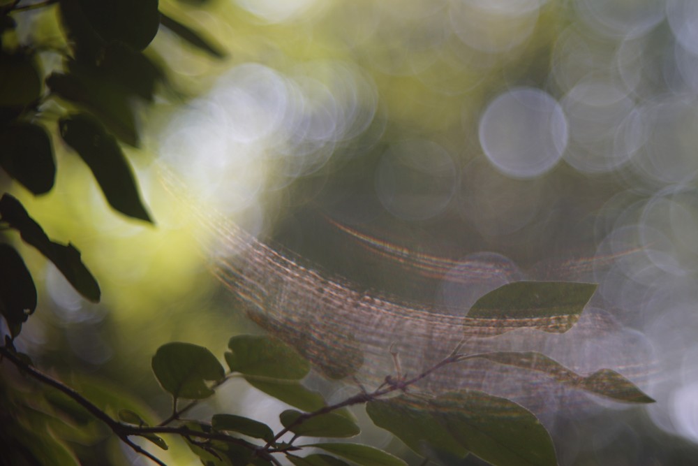 soap bubbles