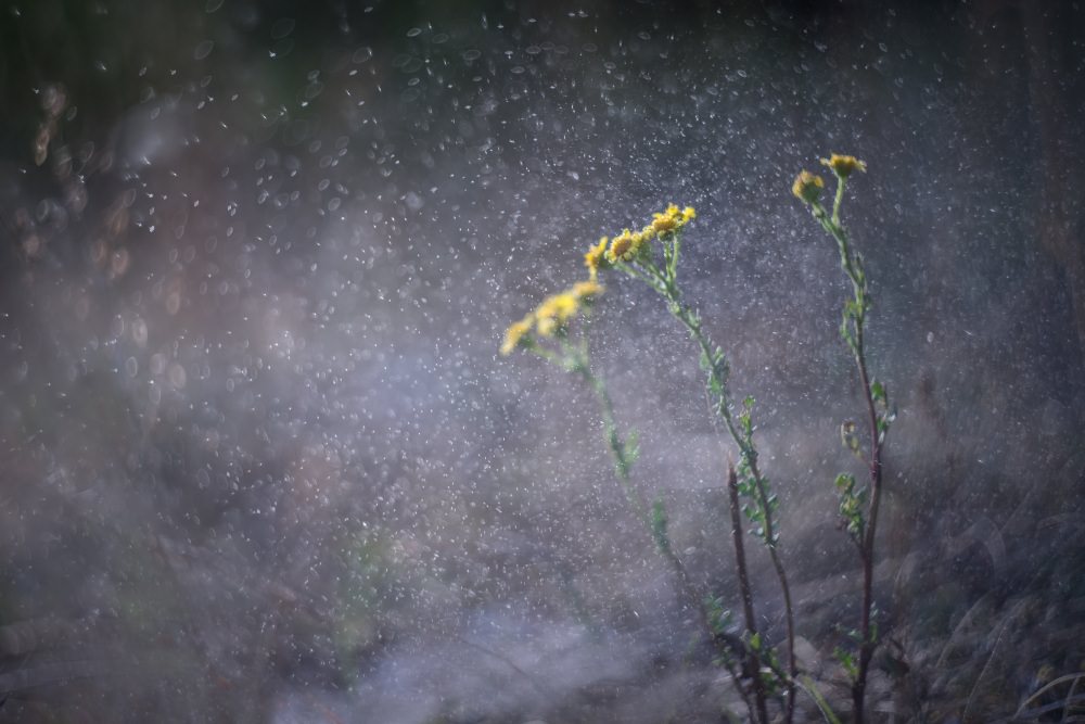 splash water