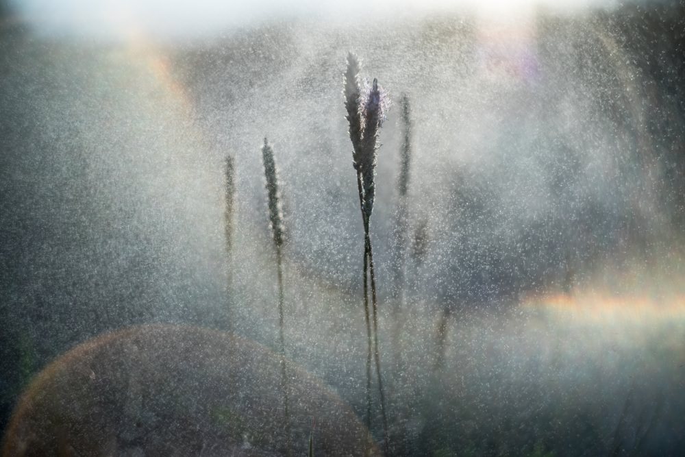 splash water