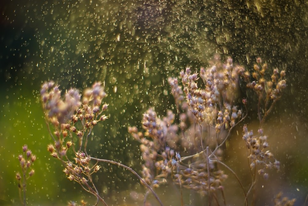 splash water
