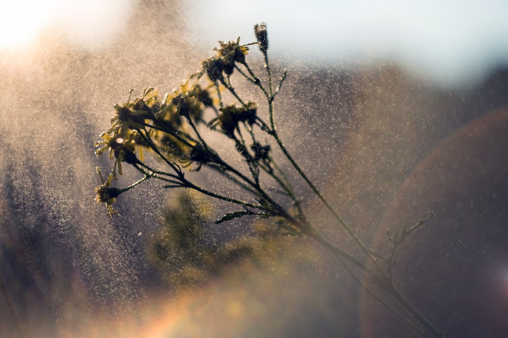 splash water