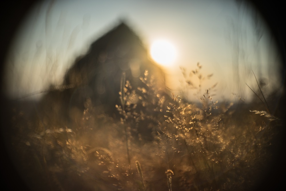 summer evening toy lens