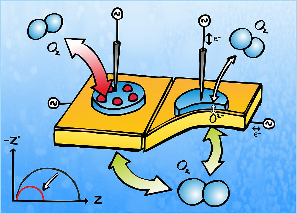 oxygen surface exchange