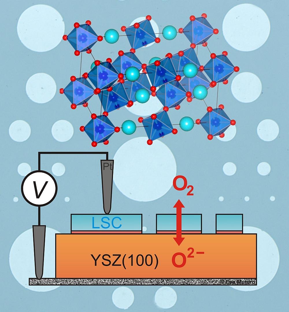 perovskite oxygen reduction