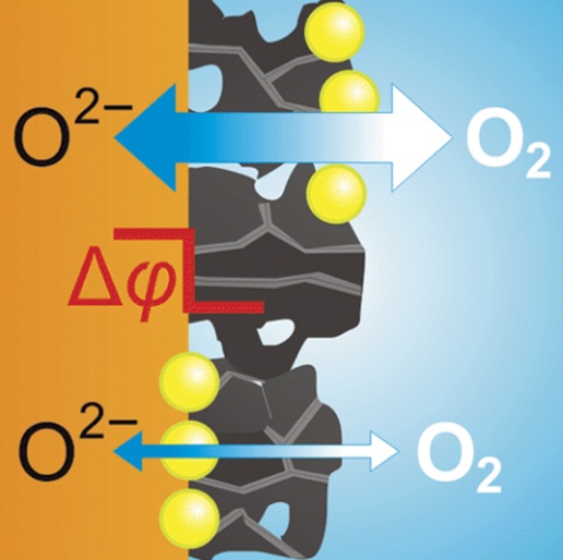 silica surface interface