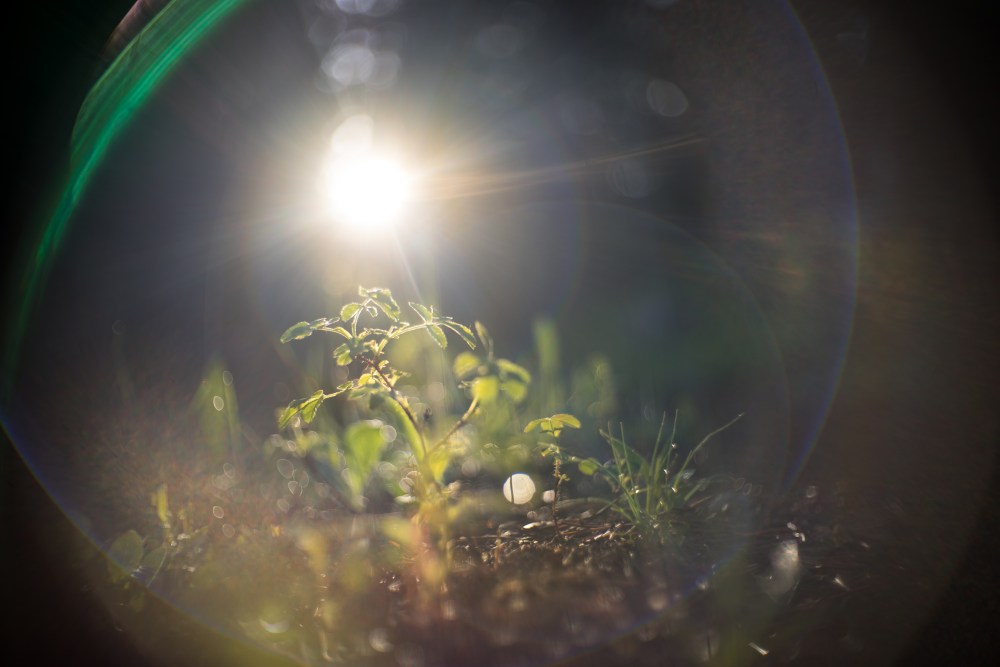 lens flare