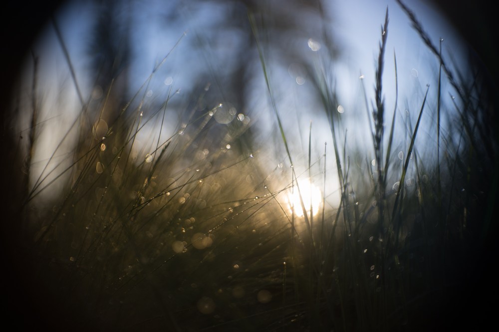 rainy sunset