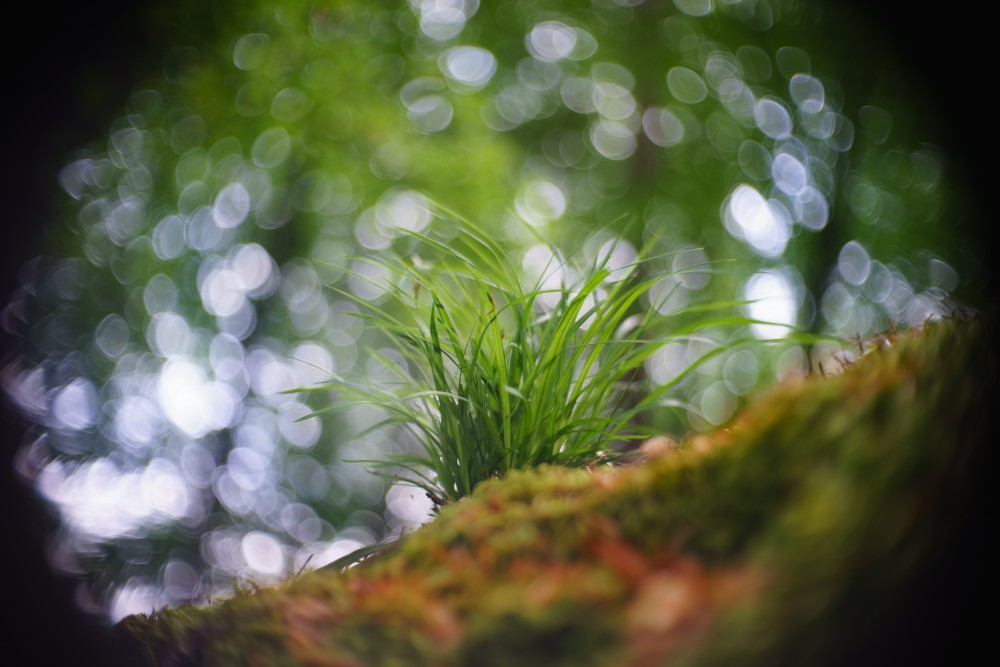 swirl bokeh
