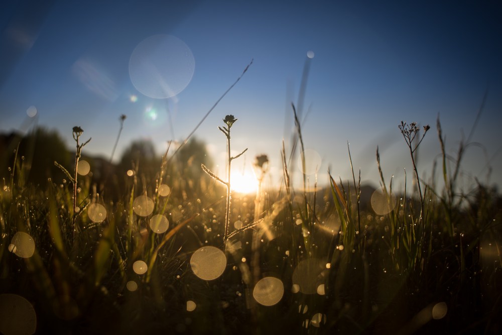 sunrise